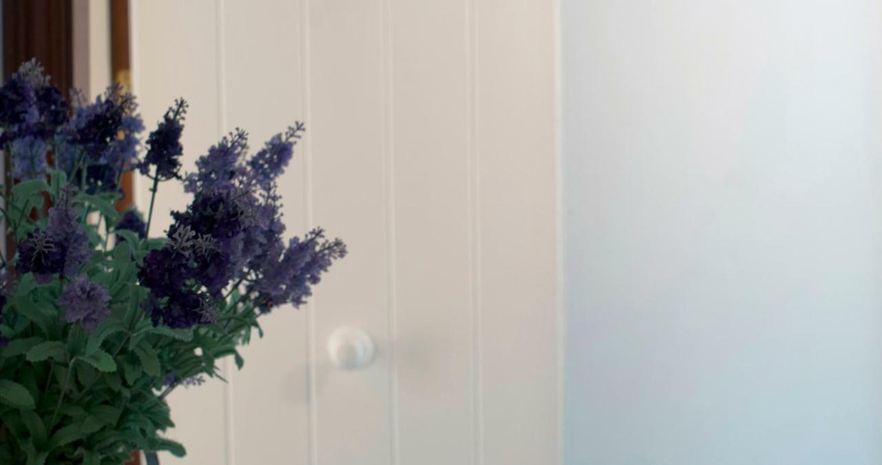 Apartament Les Tonyines Llançà Extérieur photo